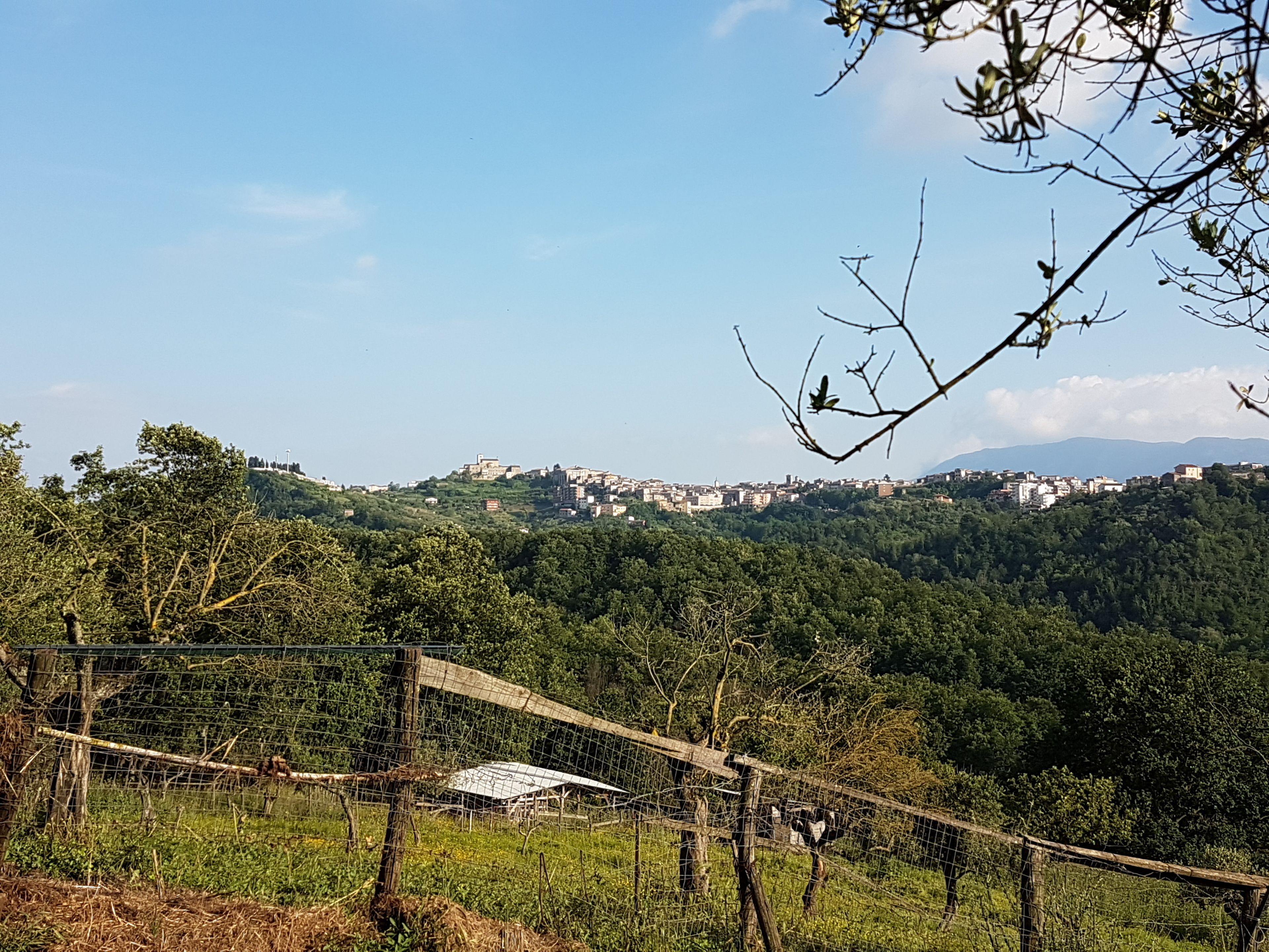 Paisaje rural con una zona cercada, un edificio pequeño y una vista distante de un pueblo en una colina.