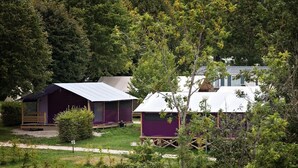 Exterior - Odésia Vacances Camping le Grand Lac (Clairvaux-les-Lacs)