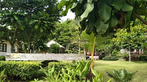 Un jardín exuberante con un letrero de madera que dice "THE SUNSHINE REST".