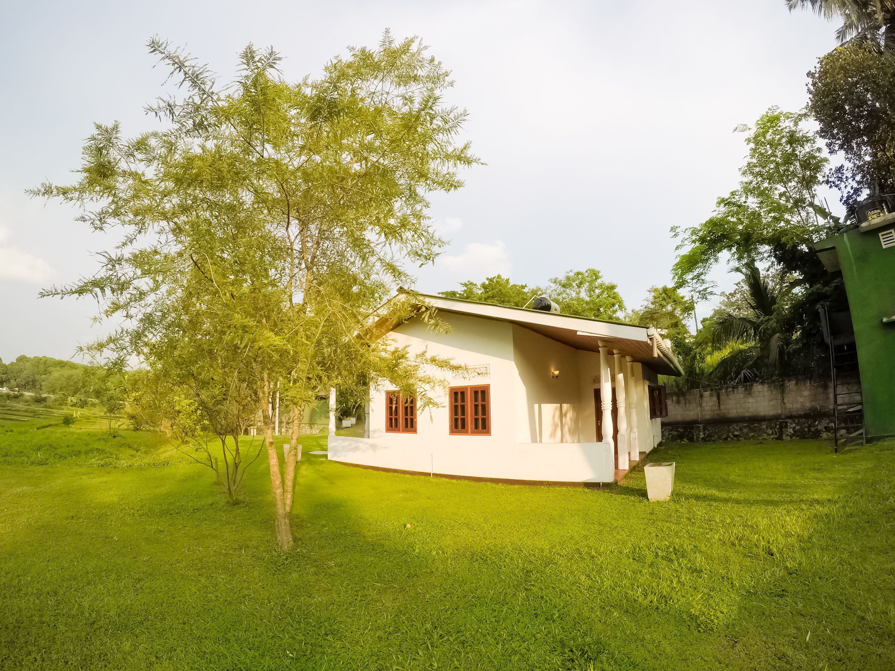 Una casa pequeña de un solo piso con fachada blanca y una puerta roja, rodeada de césped verde y árboles.