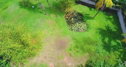 Horahena Farm Stay