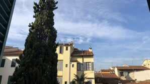 Un arbre alt i de fulles perennes davant d'un edifici amb teulada de rajola i moltes finestres.