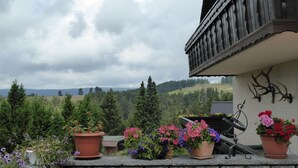 A balcony with potted plants and a grill. - Landhaus Fischer (Braunlage)