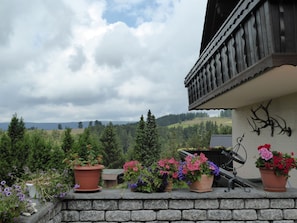 Pemandangan dari hartanah