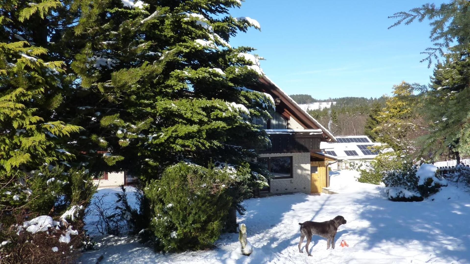 Ein Haus mit geneigtem Dach, umgeben von schneebedeckten Bäumen und einem Hund im Vordergrund.