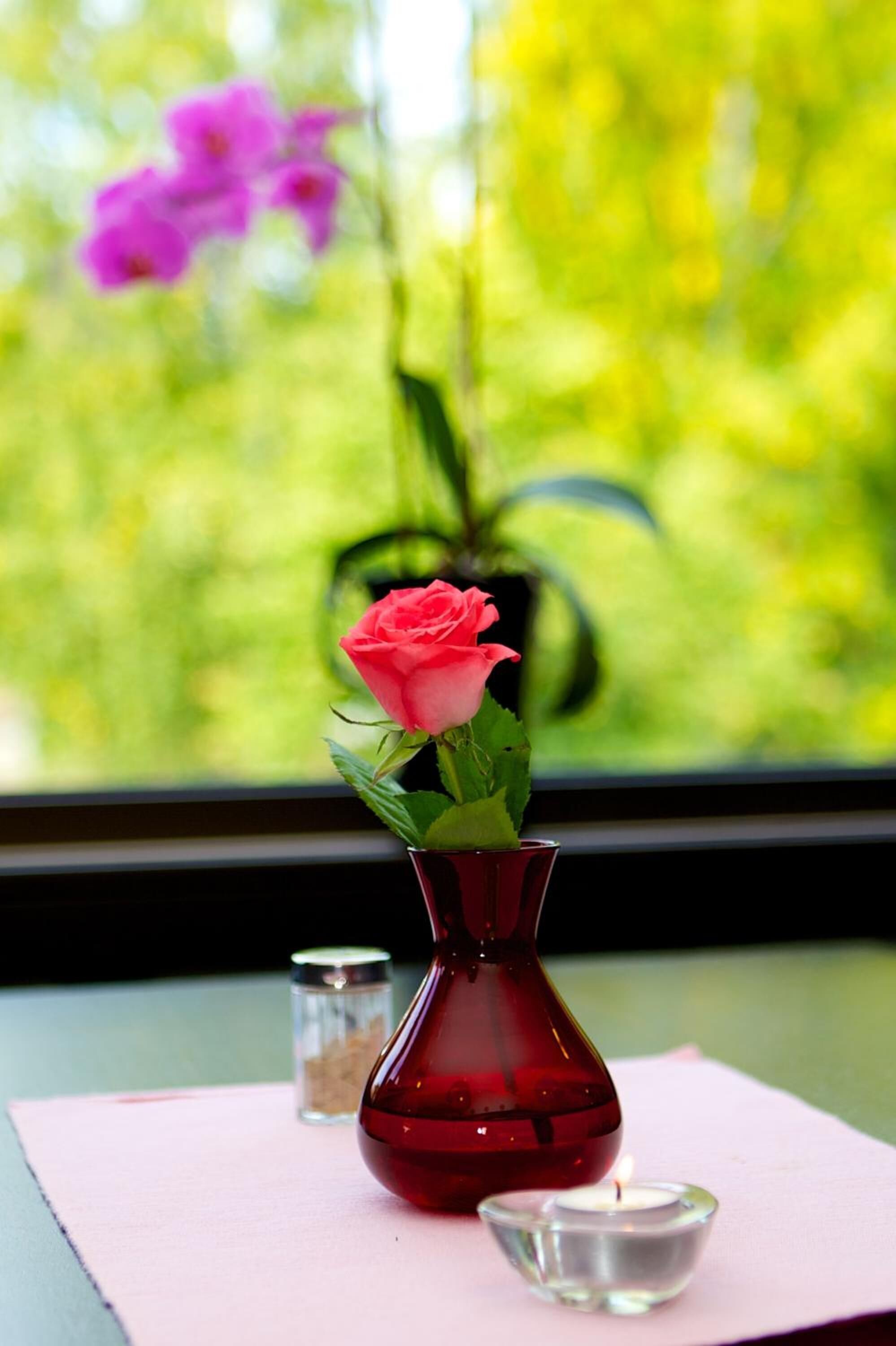 lunch and dinner served, local and international cuisine