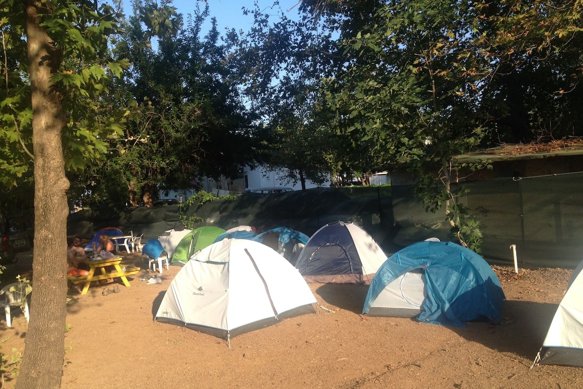 Tent | Free WiFi