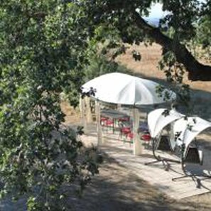 Un espace extérieur abrité, avec des tables et des parasols, entouré d’arbres.