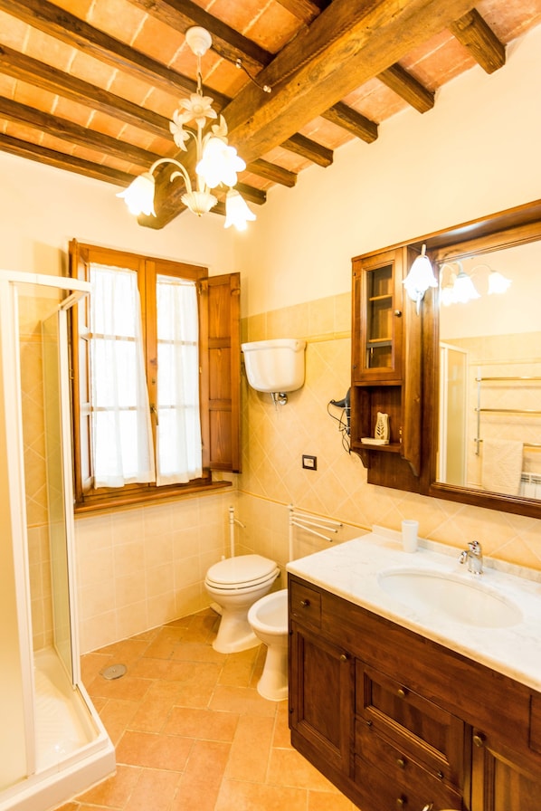 A bathroom with a wooden ceiling, a shower, a toilet, a sink, and a mirror. - Agriturismo Cantagalli (San Quirico d'Orcia)