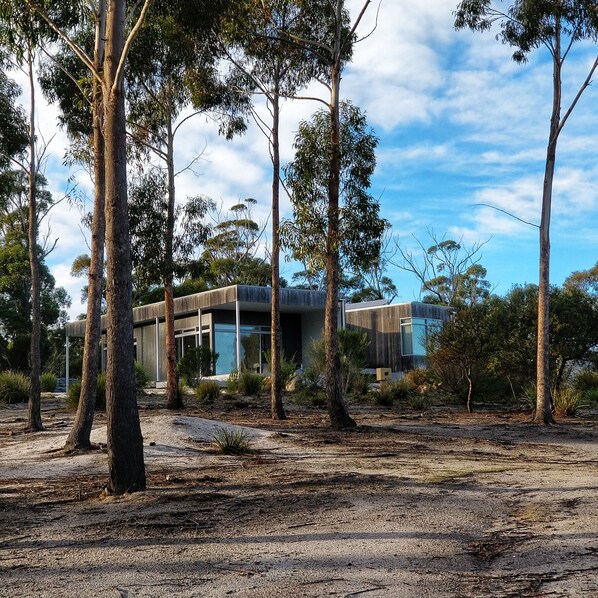 A modern building surrounded by tall trees in a natural setting.