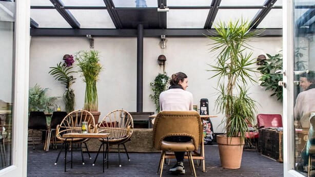 An outdoor seating area with wicker chairs and a table, surrounded by potted plants and a glass ceiling. - Hello I'm Local (Haarlem)