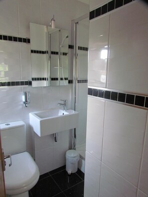 Articles de tocador gratuïts, assecador de cabells i tovalloles 