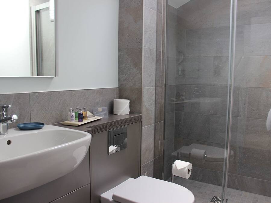 A modern bathroom with a large sink, mirror, and glass shower enclosure.