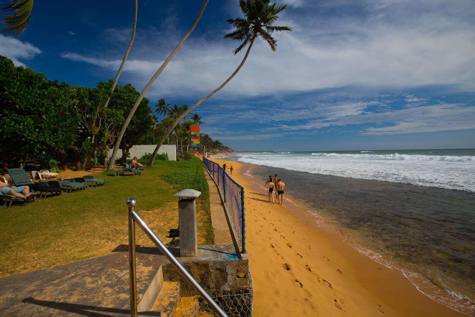 A beach with a clear sky, palm trees, and a fence along the shore.