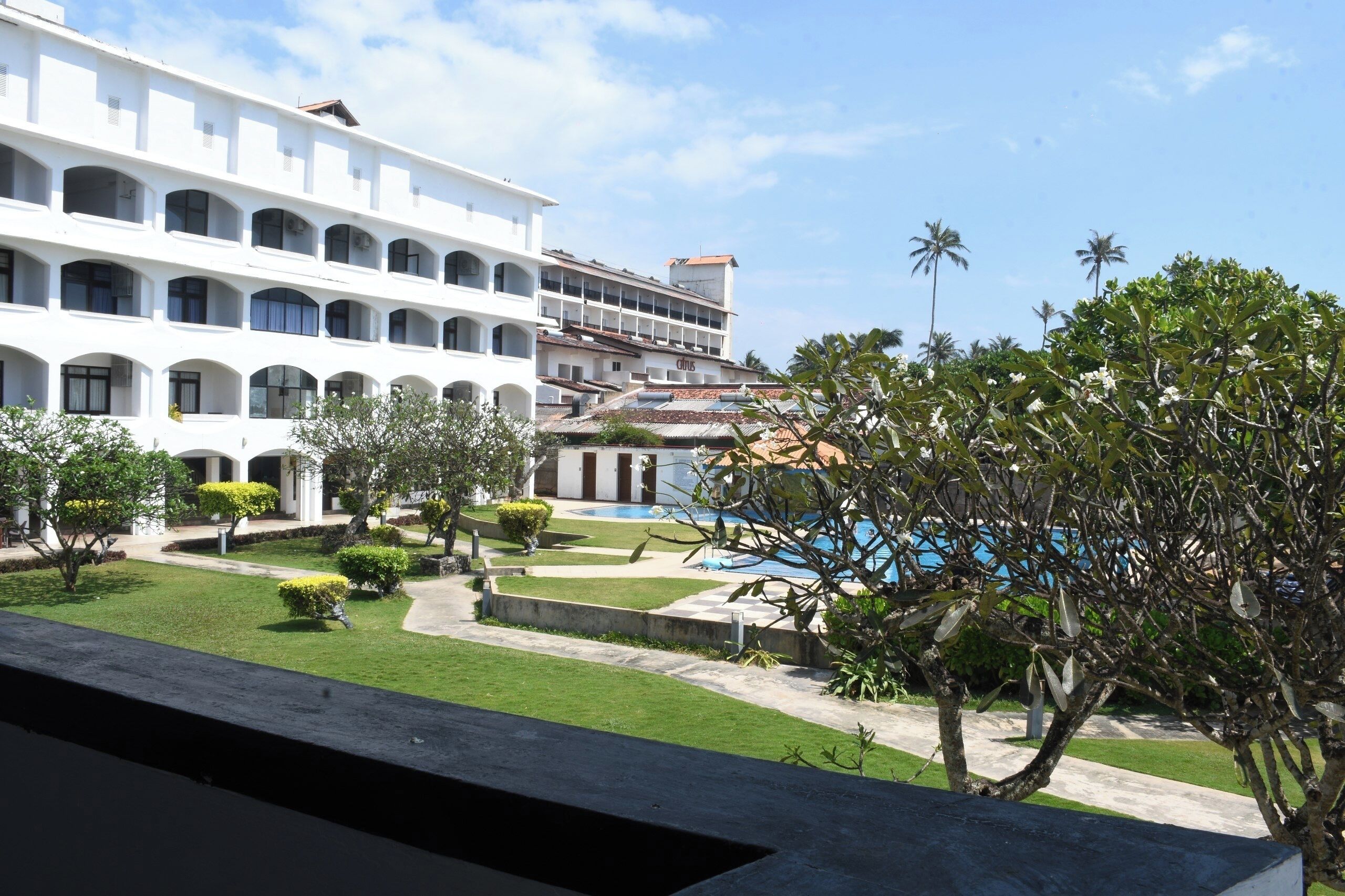 Standard Double Room, Pool View | View from room