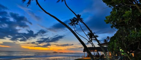 Vista desde la propiedad