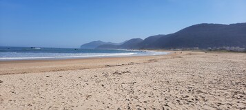 靠近海滩、白沙、沙滩椅、2 间海滩酒吧