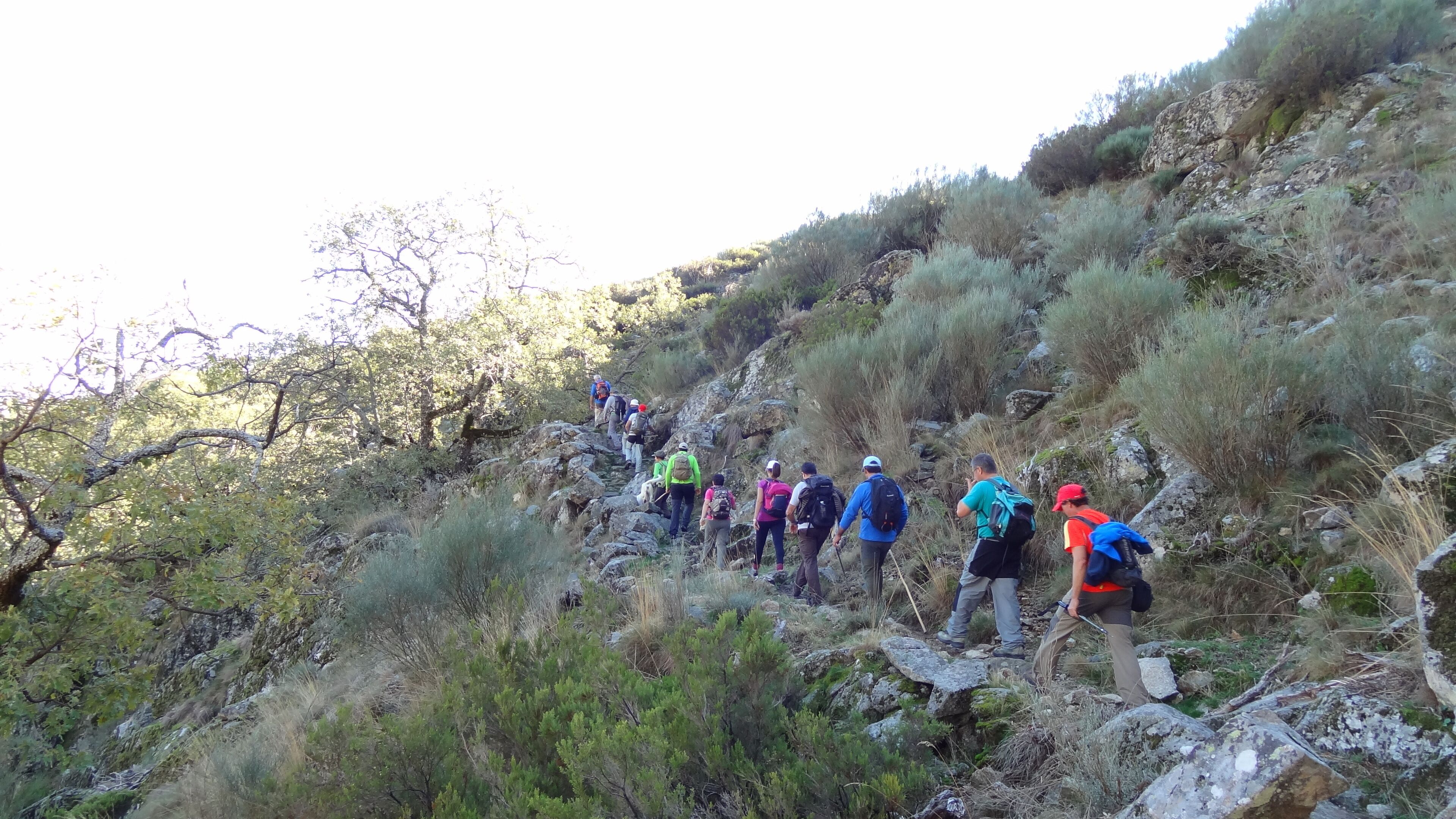 A group of hikers ascending a rocky hillside with sparse vegetation.