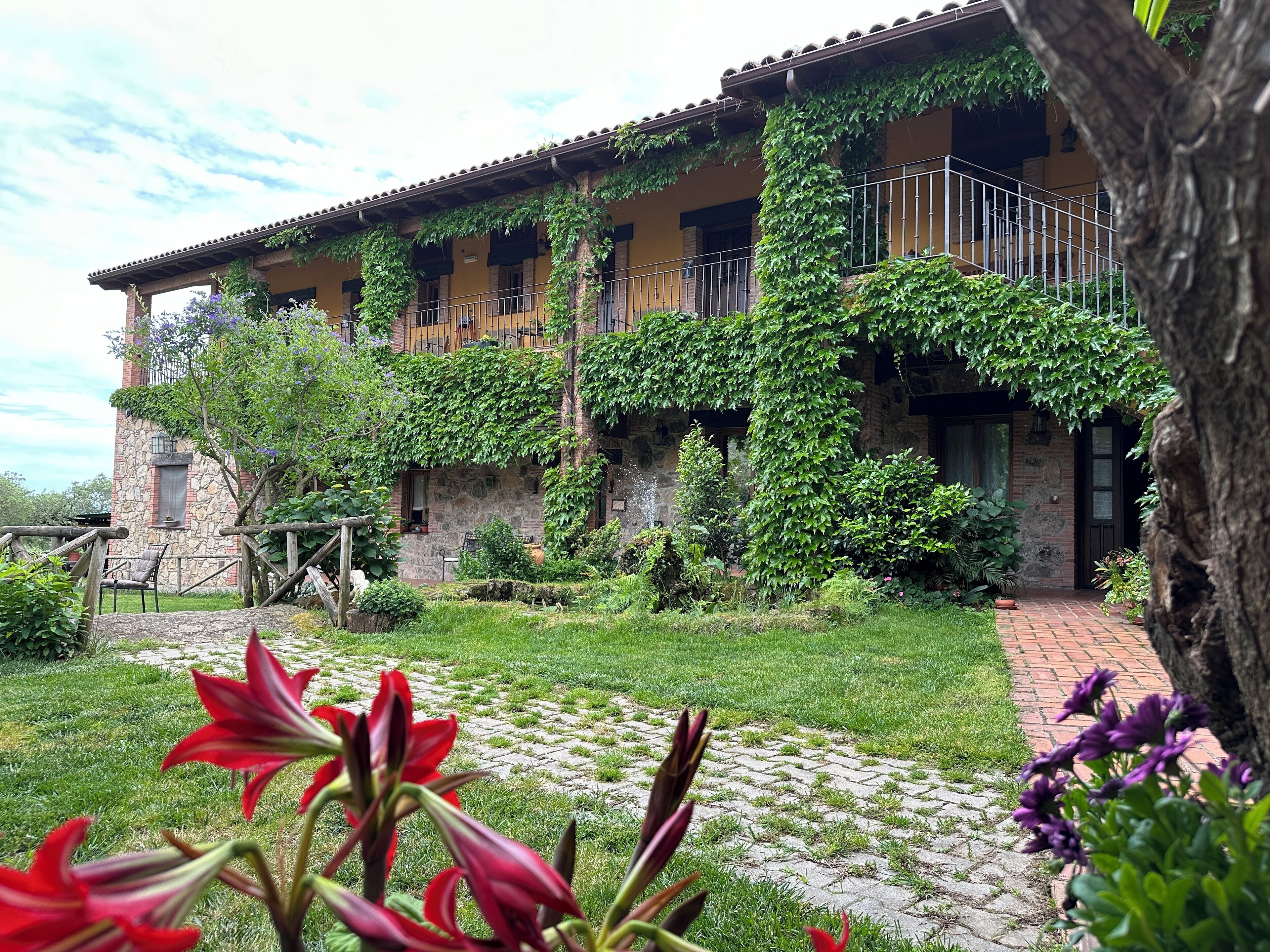 Un edificio de piedra con tejado de tejas, paredes cubiertas de hiedra y un camino de ladrillo que lleva a la entrada.