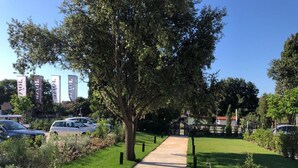 A paved pathway leading through a landscaped area with trees and shrubs, surrounded by parked cars and buildings in the background. - Noemi's rooms (Rovinj)