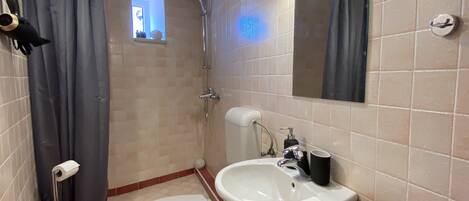 A bathroom with a toilet, sink, shower, and a mirror.