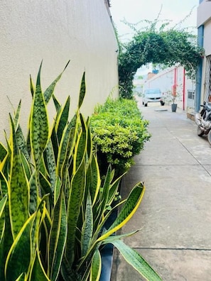 A narrow alleyway with a concrete path, a parked motorcycle, and a car in the distance. - Hotel Diniz (Barra do Corda)