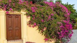 A building with a brown double door and a wall covered in pink flowers. - Theoxenia Suites & Apartments (Kasos)