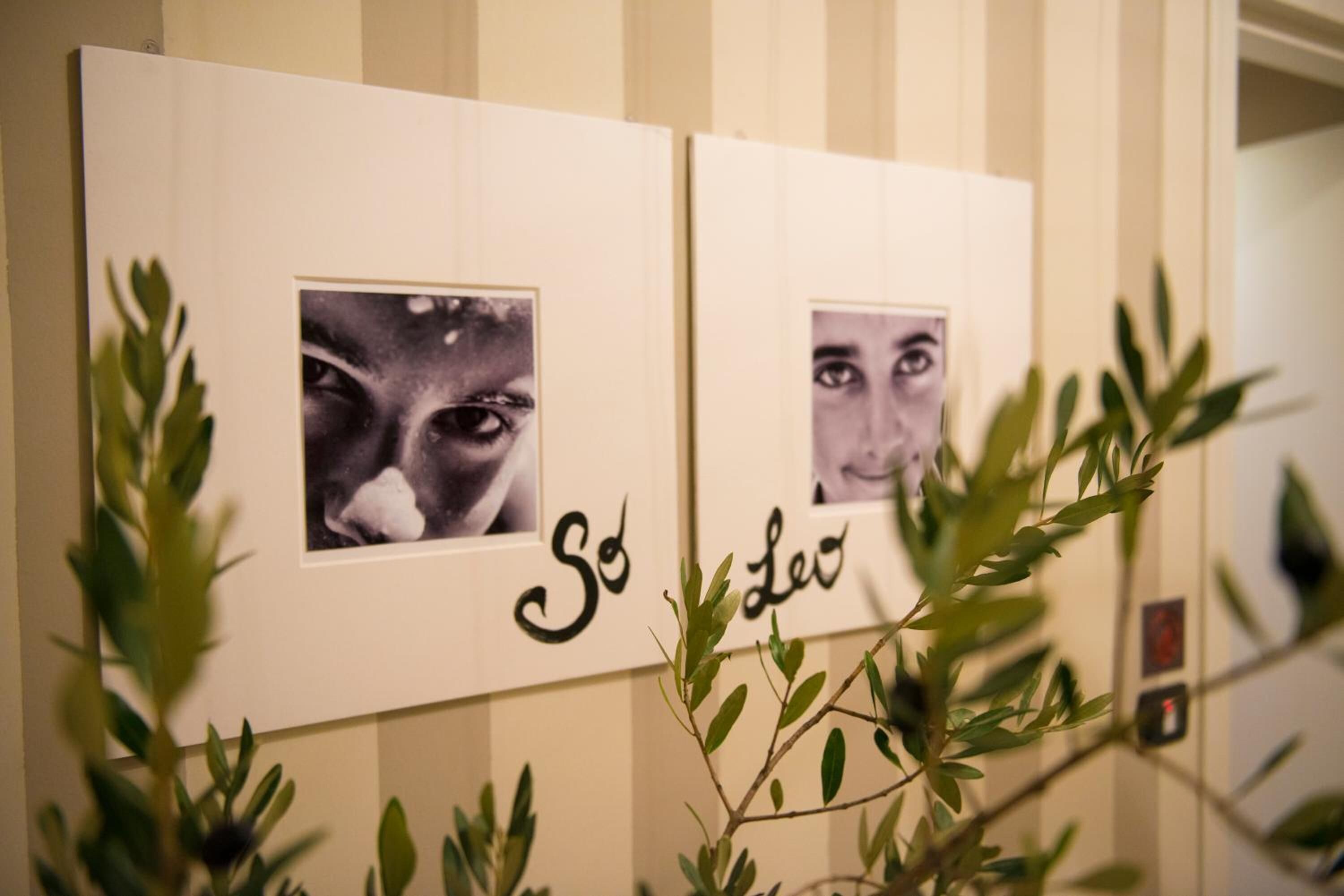 Framed photographs with names on a wall, surrounded by green foliage.