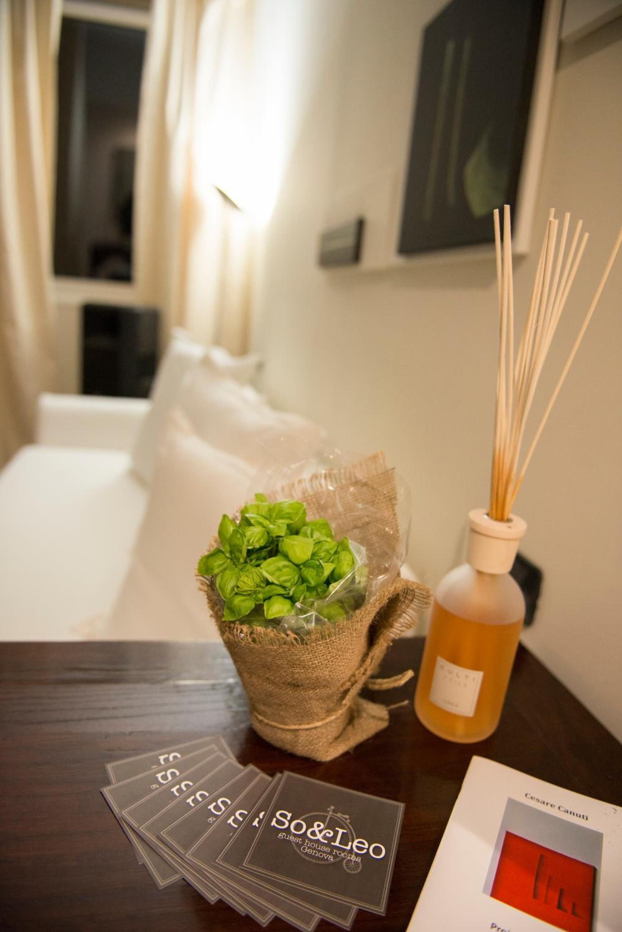 A room with a bed, a table with a bottle of reed diffuser, a basket of green leaves, and a booklet titled "S&O Leo".