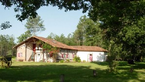 Jardín
