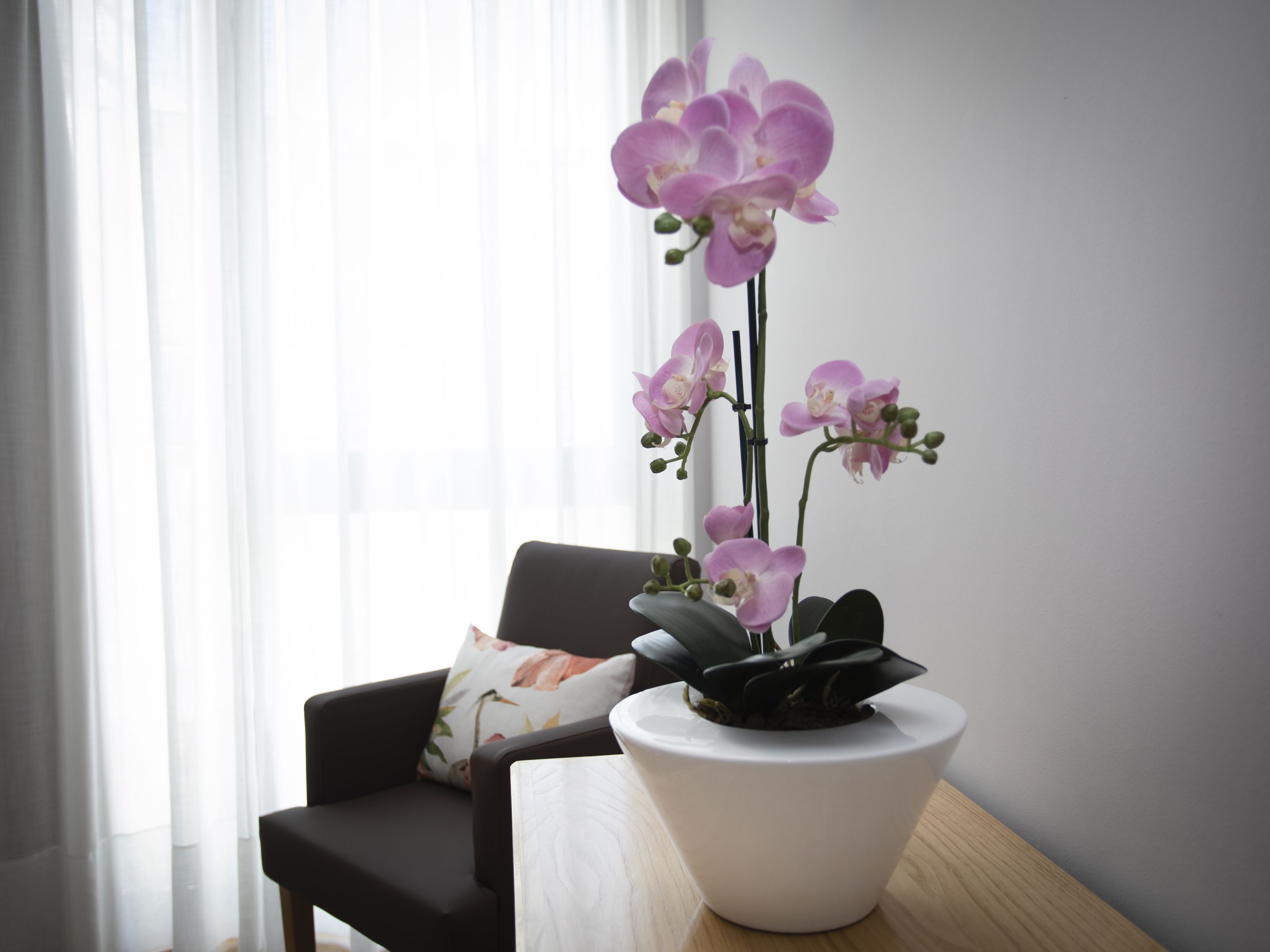 superior twin room | room amenity