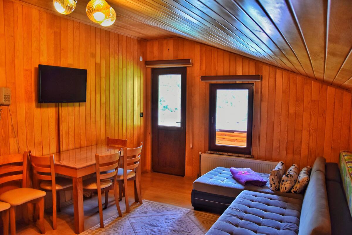 Apartment, Lake View (Attic) | Living room