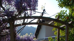Un porche techado con una mesa y sillas, rodeado de plantas en macetas y una pérgola con flores moradas.