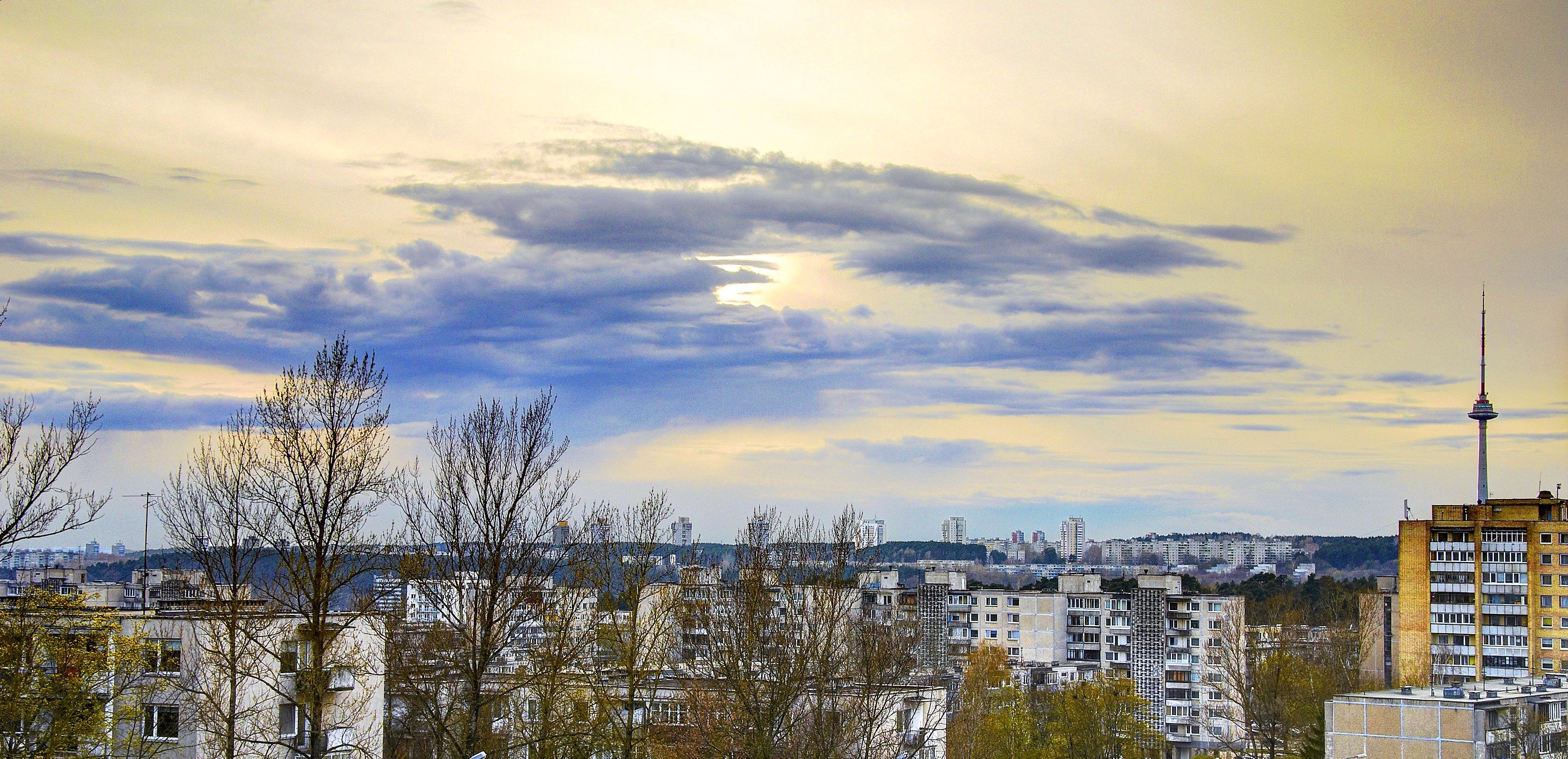View from room