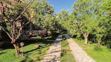 Trädgård