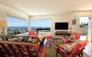 Smart TV, chimenea, reproductor de DVD y libros 