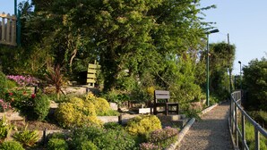Un sendero en un jardín con un banco de madera, rodeado de diversas plantas y árboles.