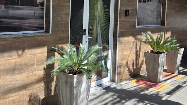 The exterior of Tapera Hostel with a prominent sign, large windows, and potted plants. - Tapera Hostel (São Paulo)