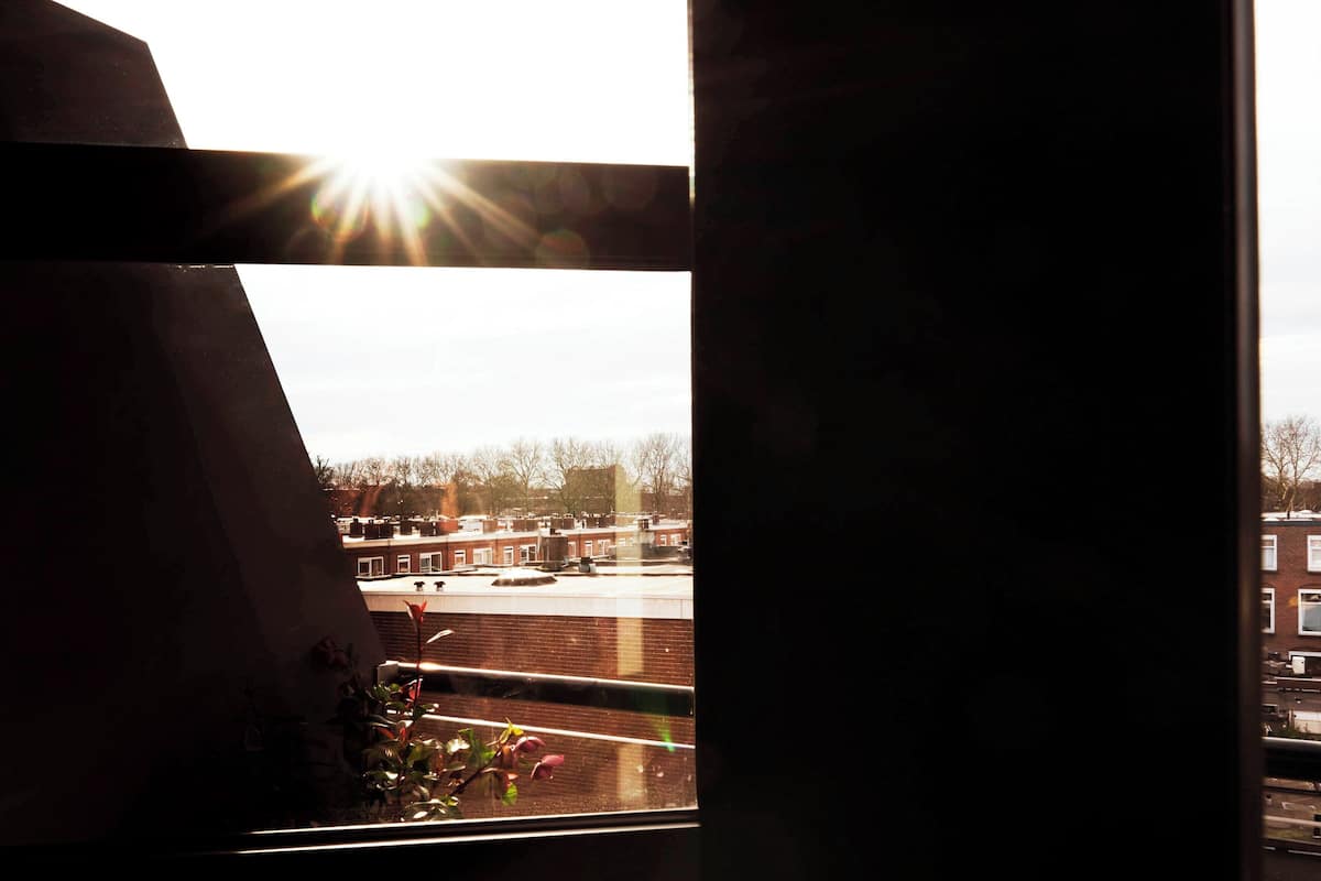A view through a window with sunlight, a brick building, and a clear sky.