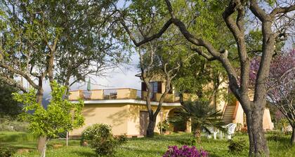 Villa Schiopparello
