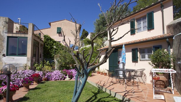 A courtyard with a tree, potted plants, and outdoor furniture. - Appartamento Mono Le Fortezze (Portoferraio)