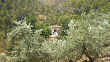 Khuôn viên nơi lưu trú