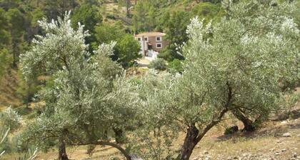 Hospederia Las Cañadillas