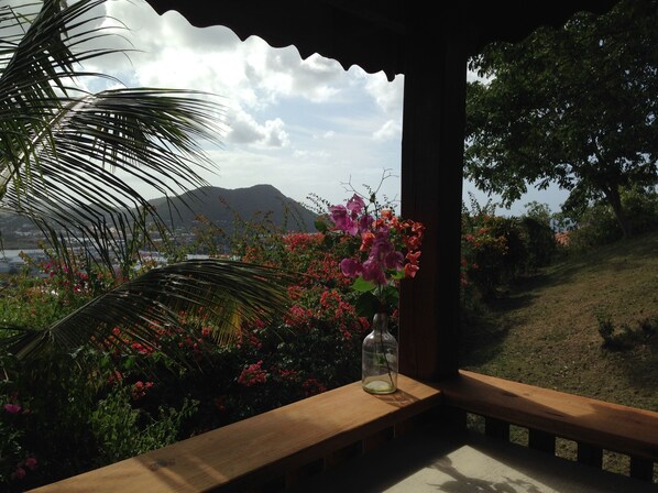 Vista desde la propiedad