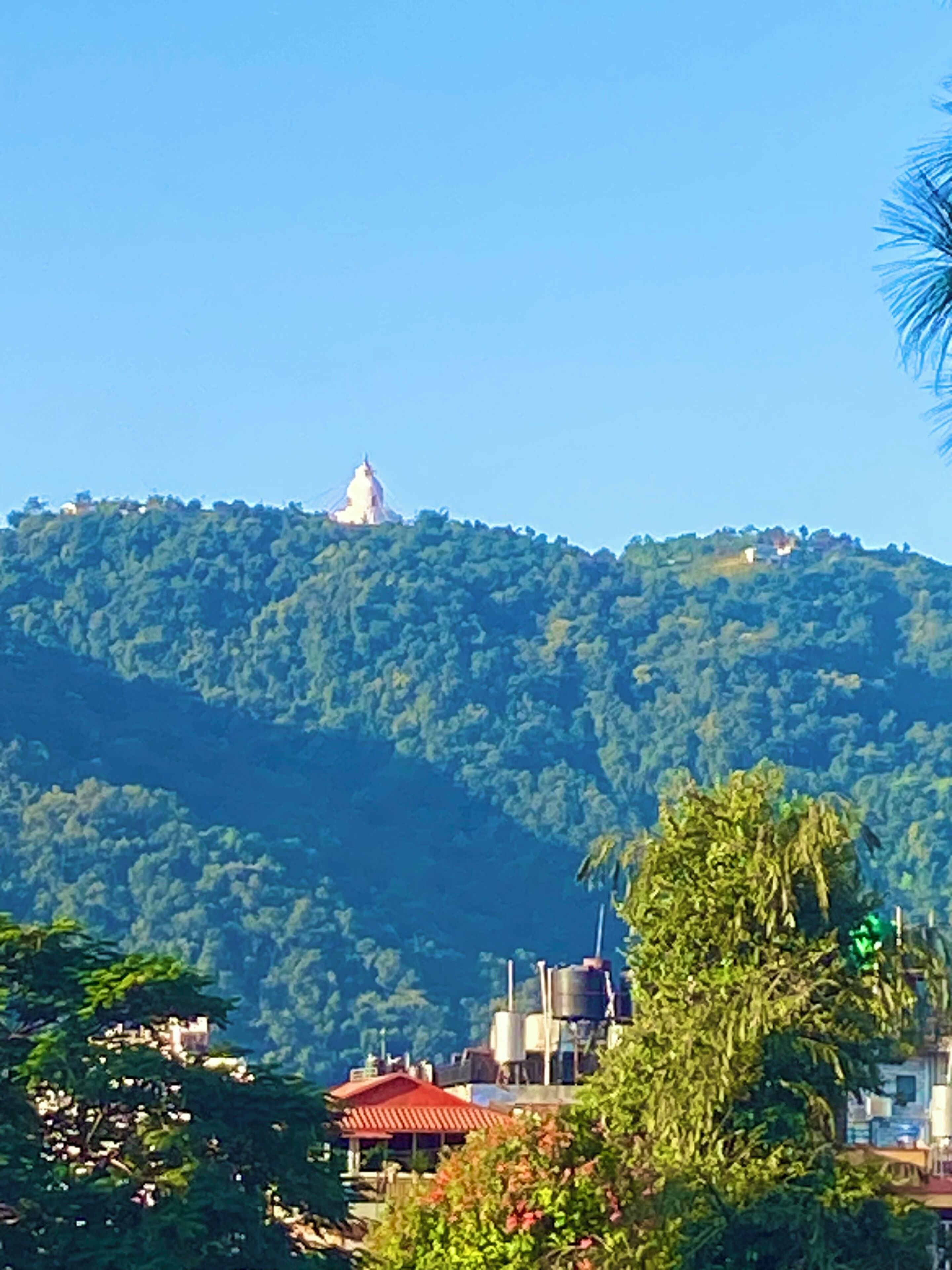 A view of a hill with a white building on top, surrounded by greenery.