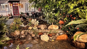 En have med en lille dam, omgivet af sten og forskellige planter.