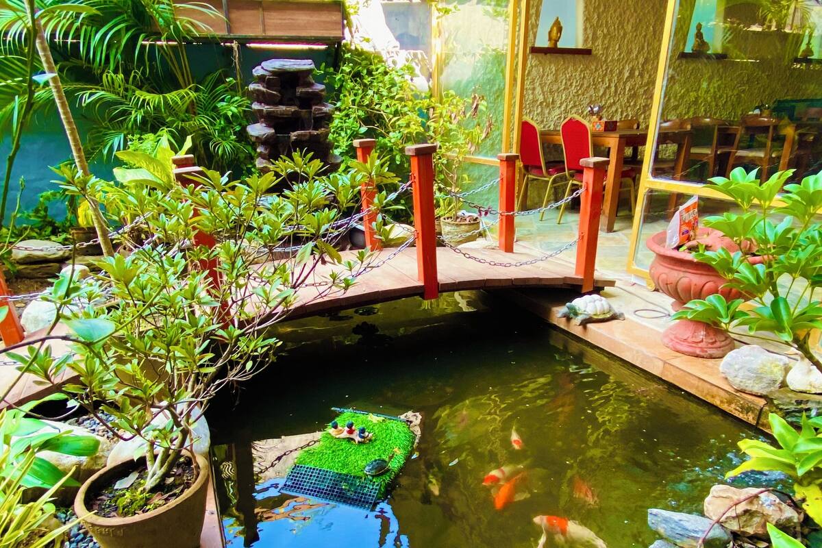 A koi pond with a wooden bridge, surrounded by potted plants and rocks.