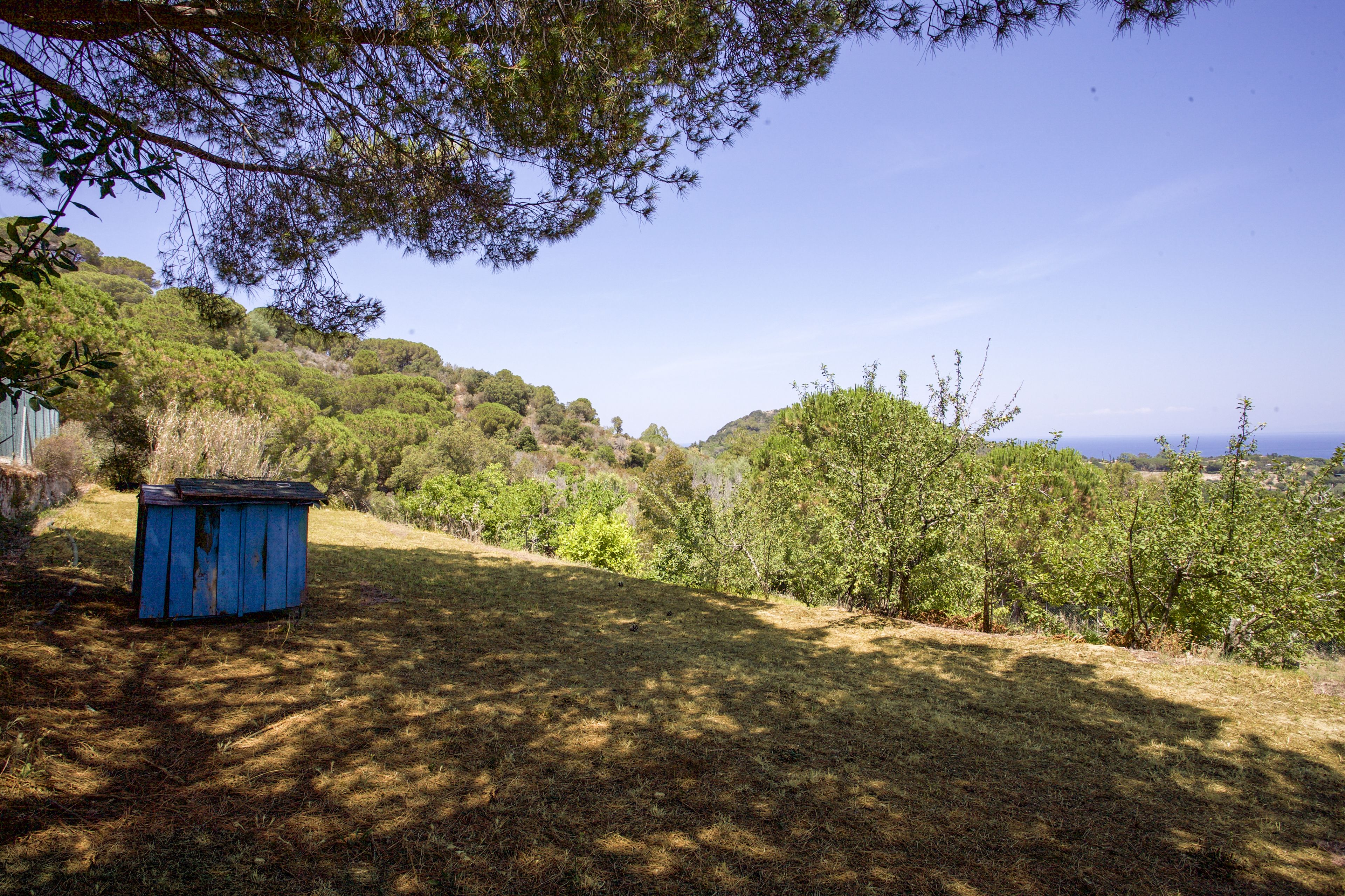 A blue shed in a grassy area with trees and hills in the background.