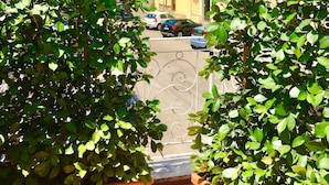 Una vista di strada con edifici, auto parcheggiate e vegetazione rigogliosa.