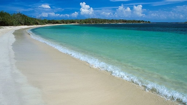Ein Strand mit klarem türkisblauem Wasser, einem sandigen Ufer und einer entfernten Baumgrenze unter blauem Himmel.
